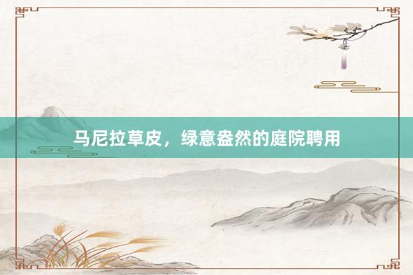 马尼拉草皮，绿意盎然的庭院聘用
