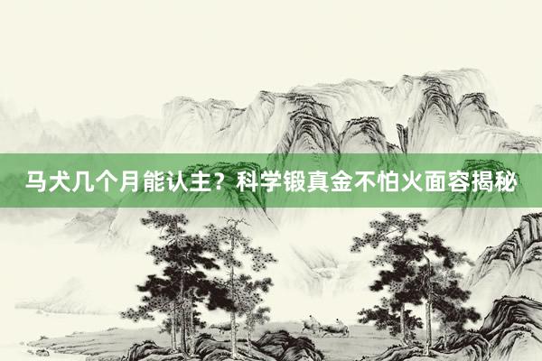 马犬几个月能认主？科学锻真金不怕火面容揭秘
